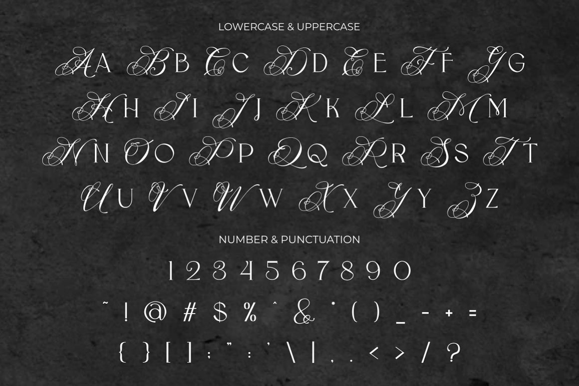 英文字体：现代优雅奢华婚礼邀请函杂志海报标题LOGO徽标设计PSAI衬线字体 Flece Display – Modern Sans Font . 第12张