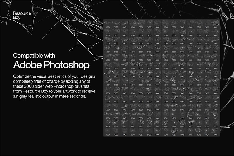 200+高清蜘蛛网Photoshop笔刷 APP UI 第2张