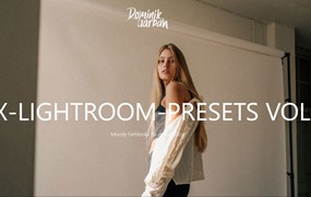 70年代复古感电影颗粒自然光人像摄影LR调色预设 Dominik Garban - DGX Lightroom Presets Vol. II