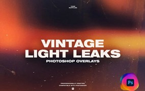 TONE SUPPLIES 60个复古电影专业漏光模拟手工制作专业叠加图片素材 60 Retro Analog Light Leak Overlays