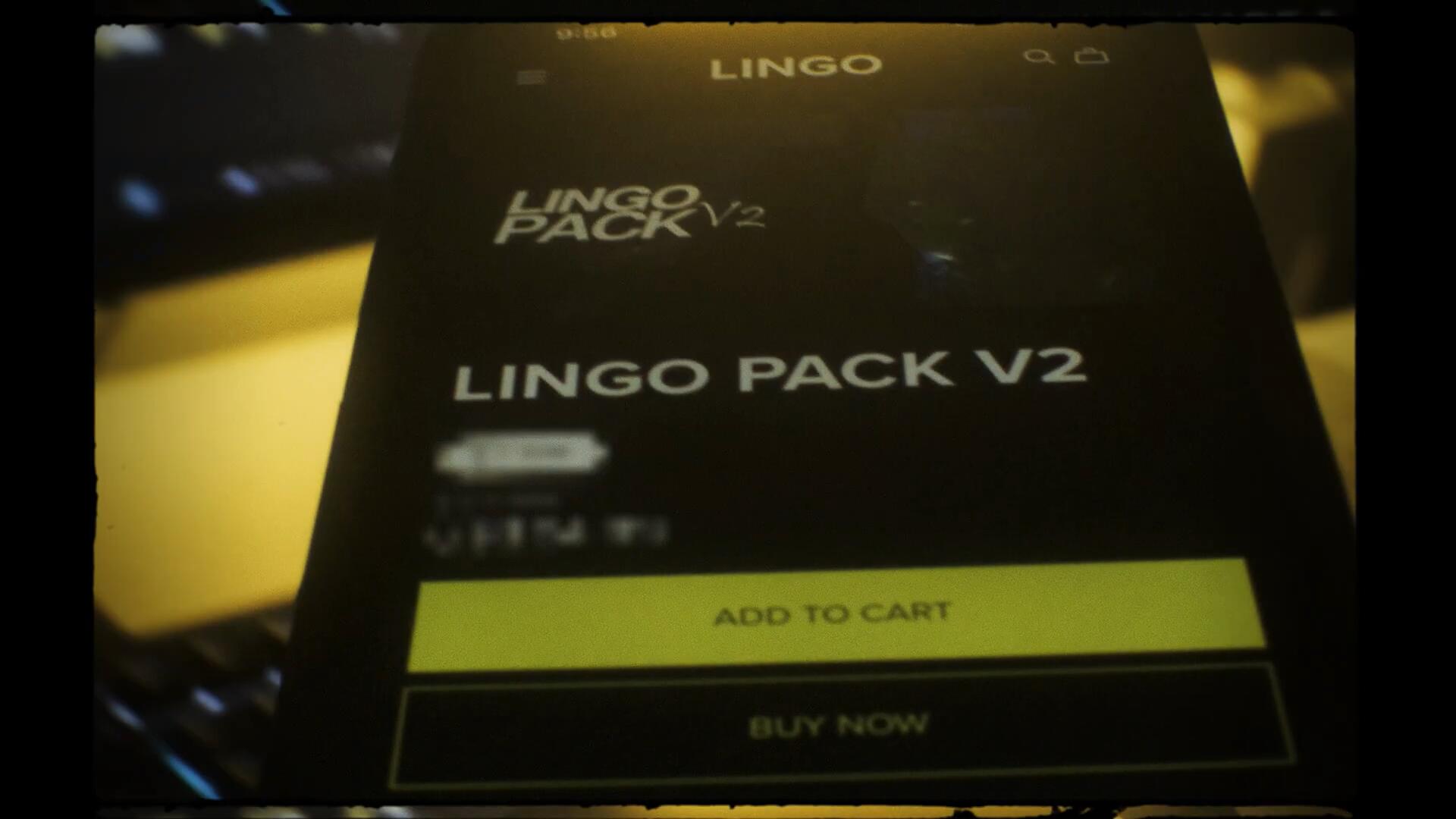 300个嘻哈说唱画面摇晃旋转定格运动AE预设效果包 LINGO PACK V2 . 第2张