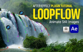 中文汉化版AE插件！静态图片局部流动循环动画特效 loopFlow 1.3.1，WIN/MAC