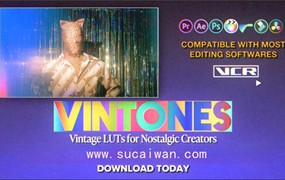 复古怀旧美学胶片情绪电影暖色氛围LUT调色预设 Vintones | Vintage Film LUTs