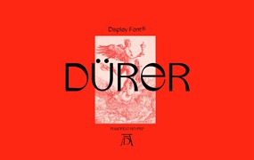 IF Durer Display Font 一种现代艺术柔和曲线精致细节优雅无衬线字体