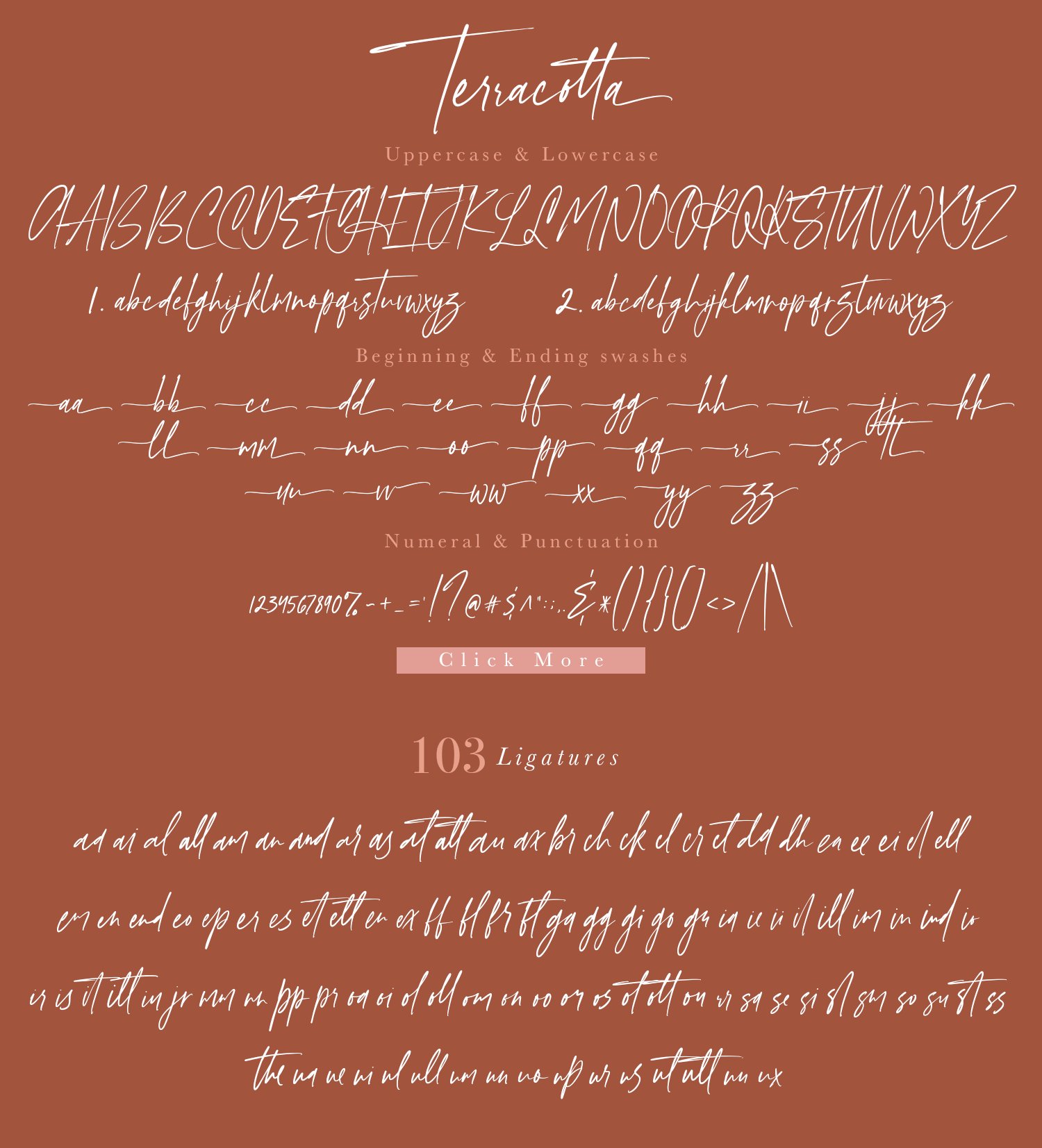 Teracotta – Handwritten Font 手写签名风格时尚婚礼请帖、社交媒体、LOGO、婚礼、品牌、平面设计字体 , 第17张