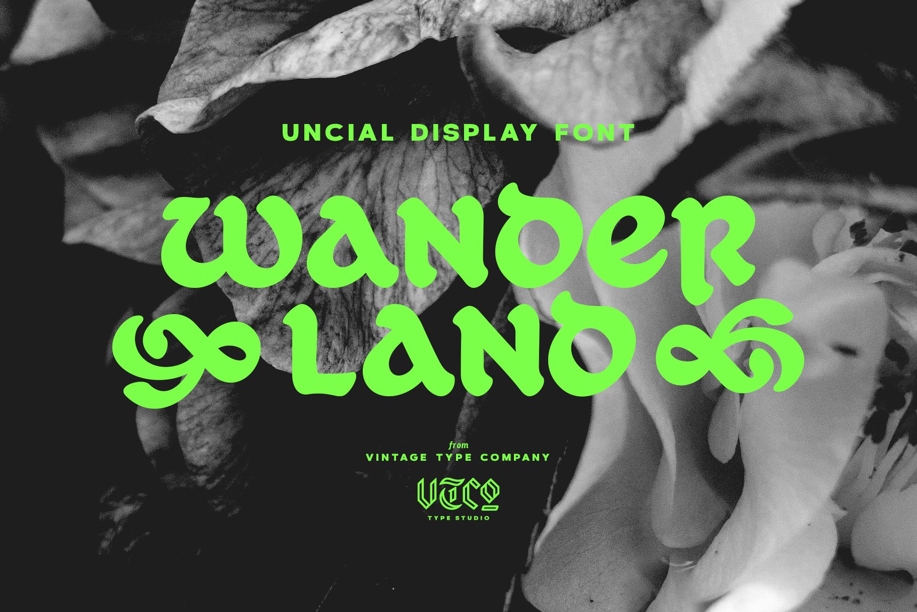 Wanderland Display Font 复古标牌品牌和标志设计封面设计视频标题渗墨美感现代装饰字体 , 第1张