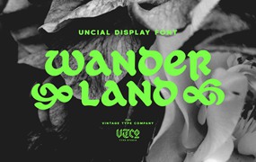 Wanderland Display Font 复古标牌品牌和标志设计封面设计视频标题渗墨美感现代装饰字体