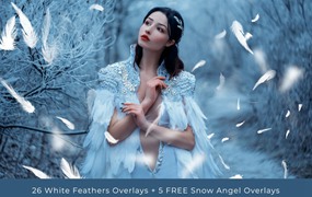 摄影后期白色羽毛飘落人像儿童摄影照片叠加层 White Falling Feathers Photo Overlays