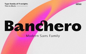 Jehoo Creative 复古优雅迷人设计排版自由连字英文字体包 Banchero