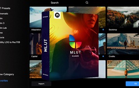 FCPX插件：专业LUT预设预览批量管理加载插件 MotionVFX – mLut