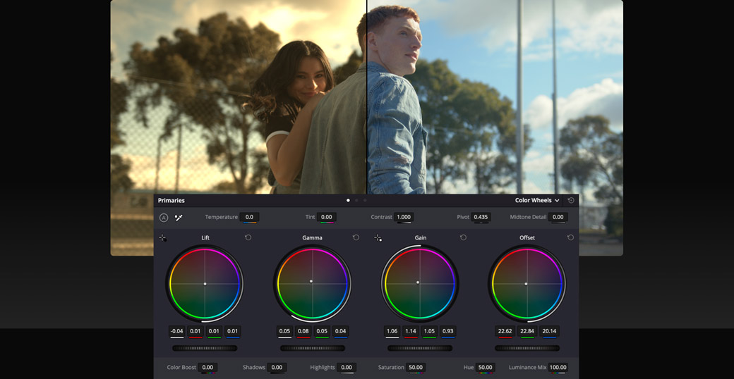 大师课程：使用达芬奇从入门到高级进行颜色分级 Color Grading with Da Vinci Resolve Beginner to Advanced , 第1张