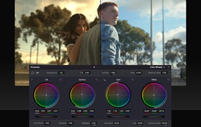 大师课程：使用达芬奇从入门到高级进行颜色分级 Color Grading with Da Vinci Resolve Beginner to Advanced