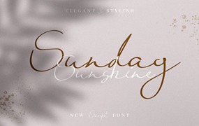 英文字体：优雅现代温柔连笔手英文无衬线字体 Sunday Sunshine - Handwritten Script Font