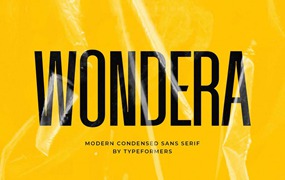 品牌标题LOGO杂志产品包装和邀请函现代压缩简单无衬线字体 Wondera – Modern Condensed Sans