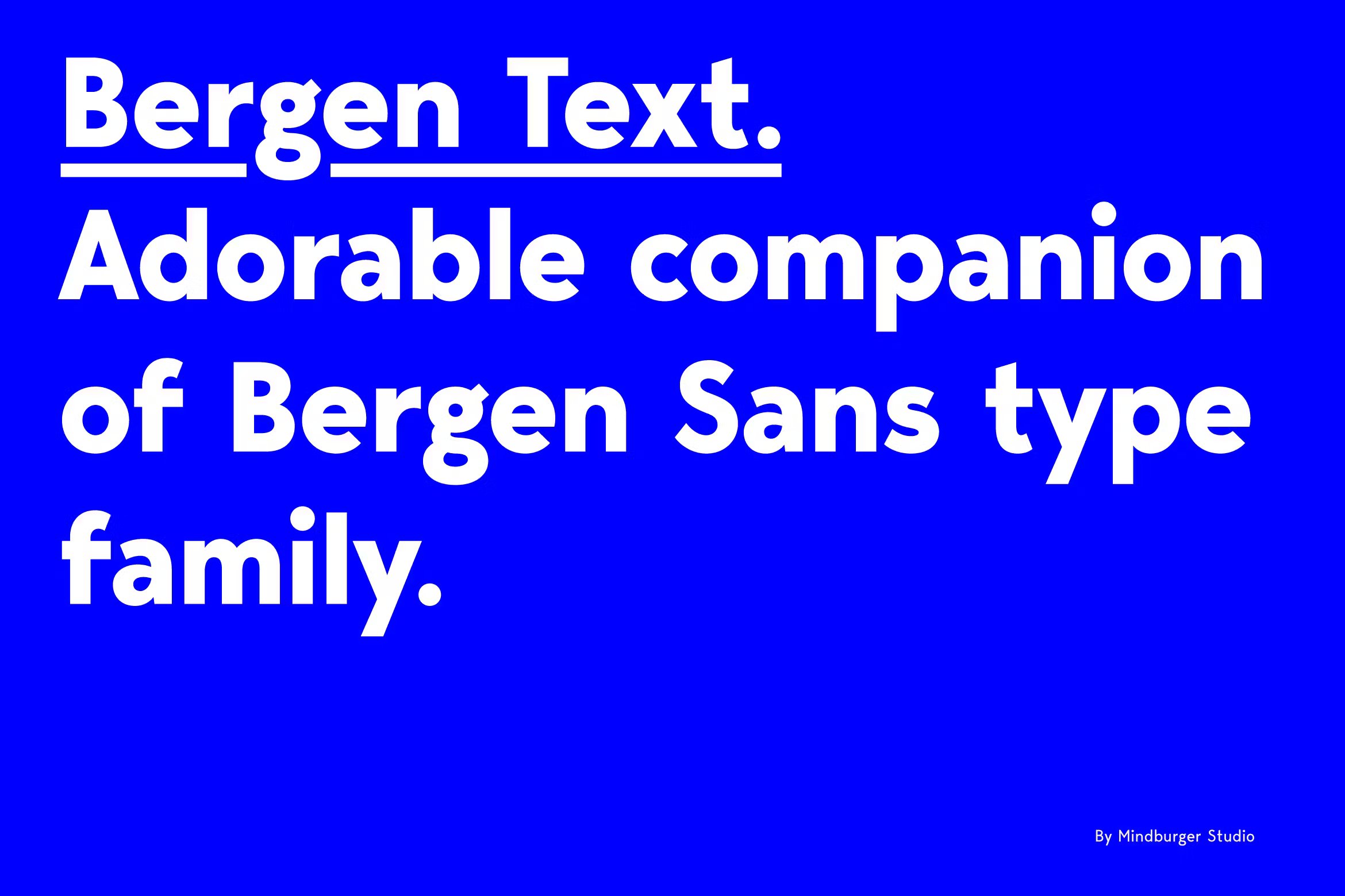 Bergen Text 6种完美可读性体验扩展拉丁语、西里尔语无衬线字体 , 第1张