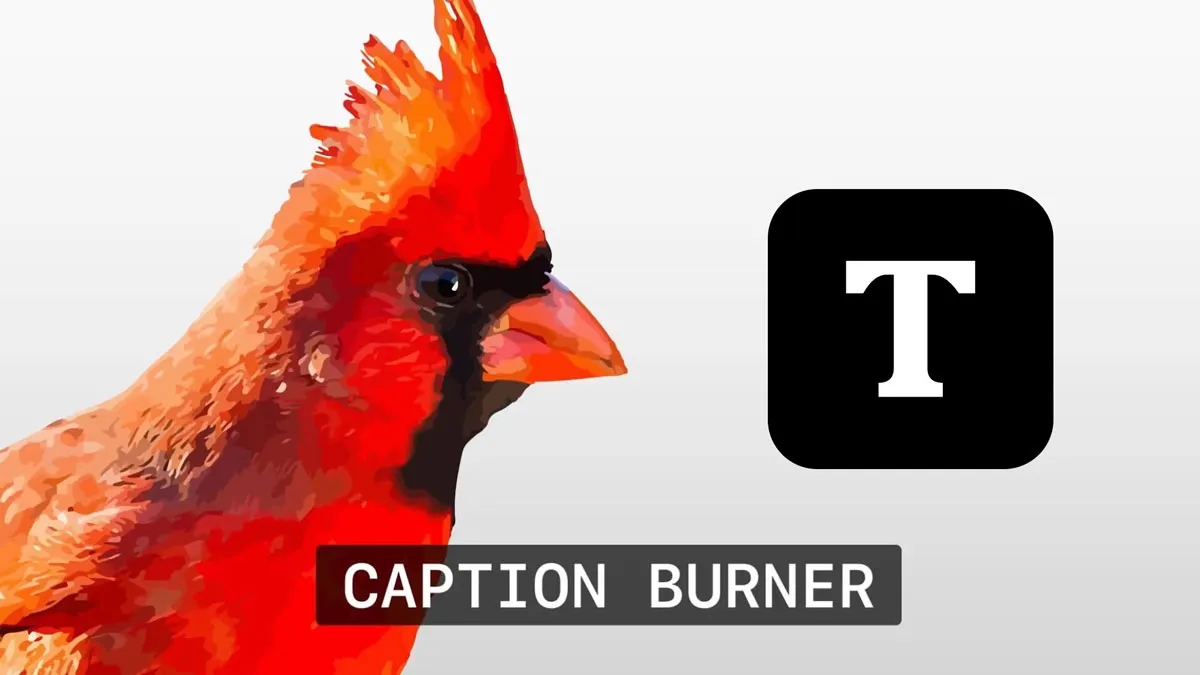 FCPX插件：常用字幕文件导入刻录插件 Caption Burner 可导入SRT等字幕文件 , 第1张