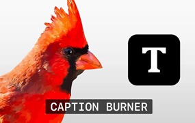 FCPX插件：常用字幕文件导入刻录插件 Caption Burner 可导入SRT等字幕文件