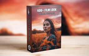 LUT预设–400个视频剪辑师电影制作人LUT调色预设 Ultimate Collection 400 Cinematic LUTs