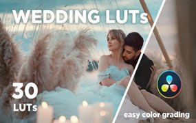 LUT预设-30个专业的电影婚礼大片调色LUT预设 30 WEDDING LUTs