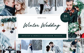 LR/PS预设-冬季电影婚礼人像Lightroom预设 Lightroom Presets – Winter Wedding