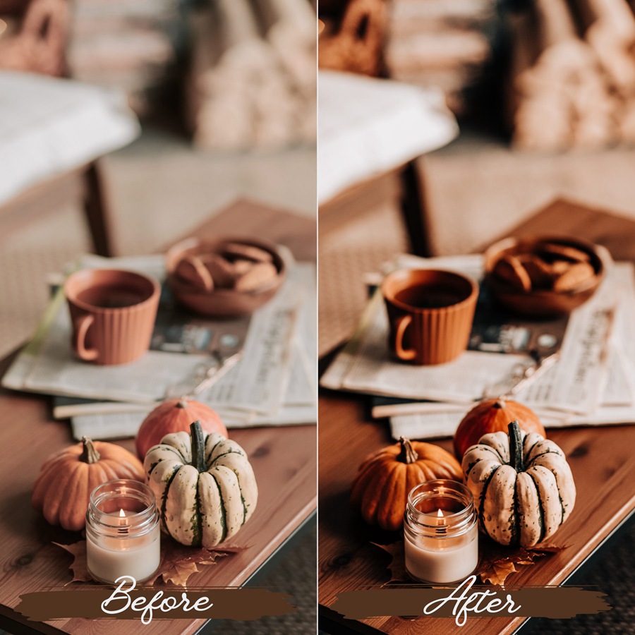 LR/PS预设-浓烈秋季气息浪漫人像Lightroom预设 Rustic Fall Lightroom Presets 插件预设 第2张