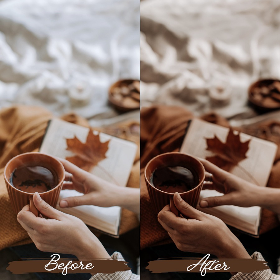 LR/PS预设-浓烈秋季气息浪漫人像Lightroom预设 Rustic Fall Lightroom Presets 插件预设 第4张