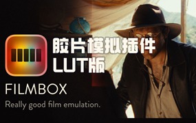 Filmbox Lut 45款热门复古美学电影胶片模拟插件LUT版本+DCTL插件