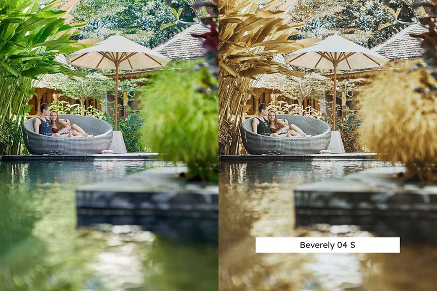 金黄色调森林旅行摄影后期Lightroom预设及电影调色LUT预设 20 Golden Forest Lightroom Presets & LUTs 插件预设 第4张