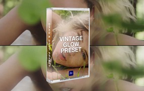 TinyTapes 复古柔光风格化梦幻发光滤镜电影MV视频PR预设包 VINTAGE GLOW PRESET