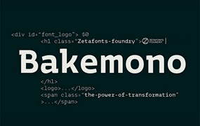 BakemonoMono等距英文字体