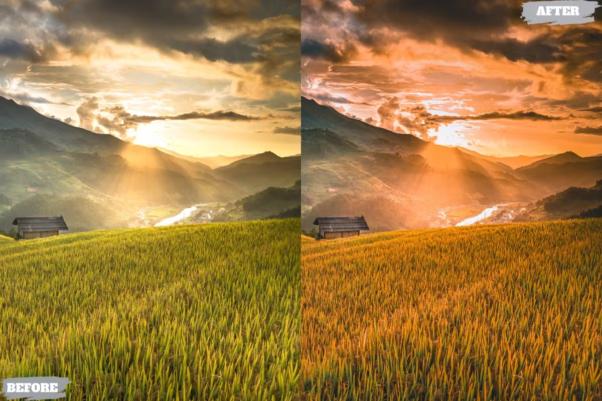 金黄夏日电影美学人像摄影后期调色Lightroom预设 Golden Summer Lightroom Presets für Desktop und Handy 插件预设 第3张