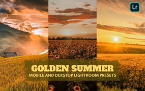 金黄夏日电影美学人像摄影后期调色Lightroom预设 Golden Summer Lightroom Presets für Desktop und Handy