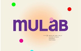 现代品牌海报徽标设计无衬线英文字体安装包 Mulab