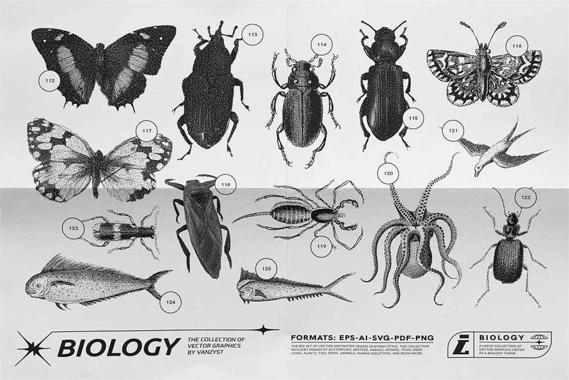 125款复古生物学昆虫动物鸟类鱼类人体骨骼植物自然界像素位图AI矢量插画PNG免扣设计套装 125 Vector Bitmap Assets. Biology , 第6张