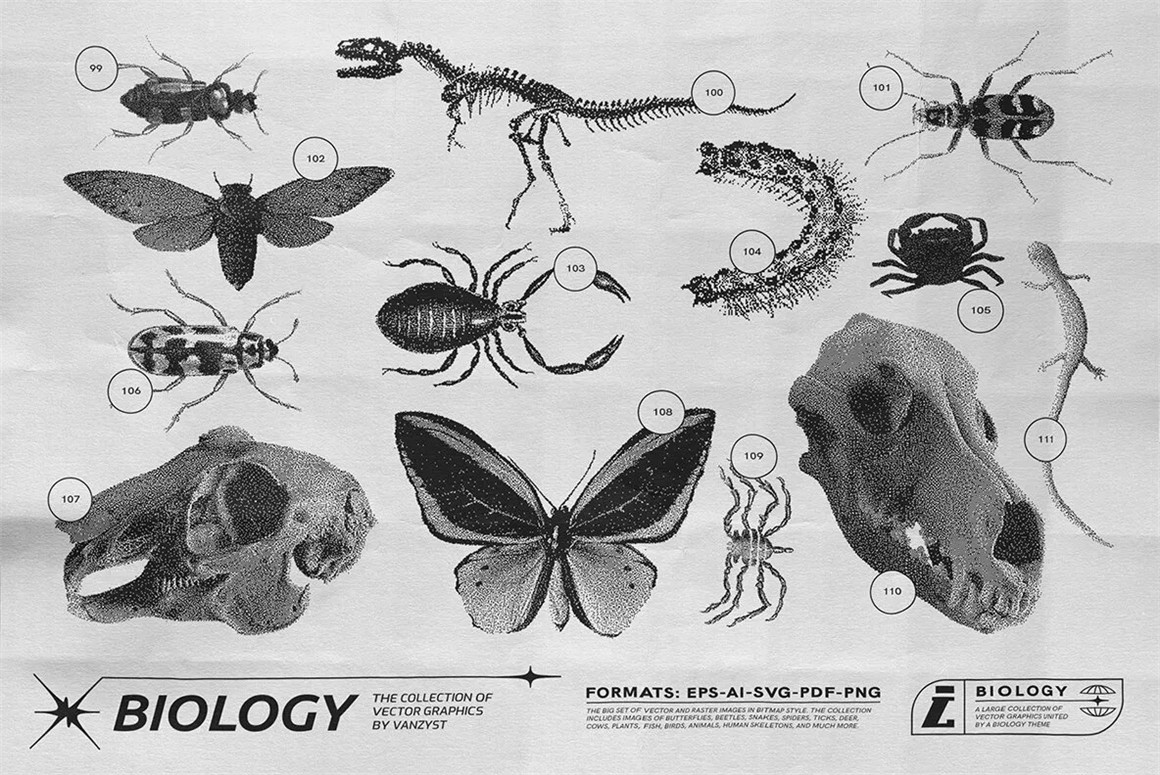 125款复古生物学昆虫动物鸟类鱼类人体骨骼植物自然界像素位图AI矢量插画PNG免扣设计套装 125 Vector Bitmap Assets. Biology , 第7张