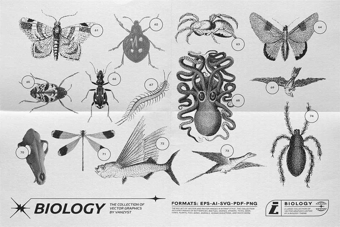 125款复古生物学昆虫动物鸟类鱼类人体骨骼植物自然界像素位图AI矢量插画PNG免扣设计套装 125 Vector Bitmap Assets. Biology , 第11张