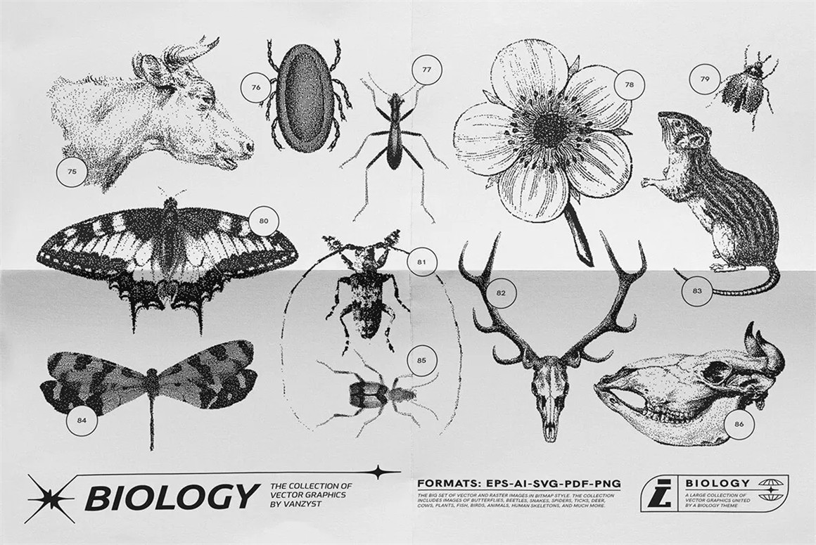 125款复古生物学昆虫动物鸟类鱼类人体骨骼植物自然界像素位图AI矢量插画PNG免扣设计套装 125 Vector Bitmap Assets. Biology , 第12张