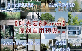 抖音小红书网红摄影师【时光若刻Karen】预设常用胶片感色调滤镜爆款LR仿富士预设 电脑版ps/lr预设配置文件滤镜附教程