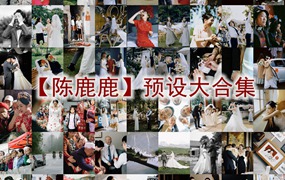 抖音小红书网红摄影师【陈鹿鹿】预设大合集常用精选婚礼预设2024最新云逸素材网优化版 电脑版ps/lr预设配置文件滤镜附教程