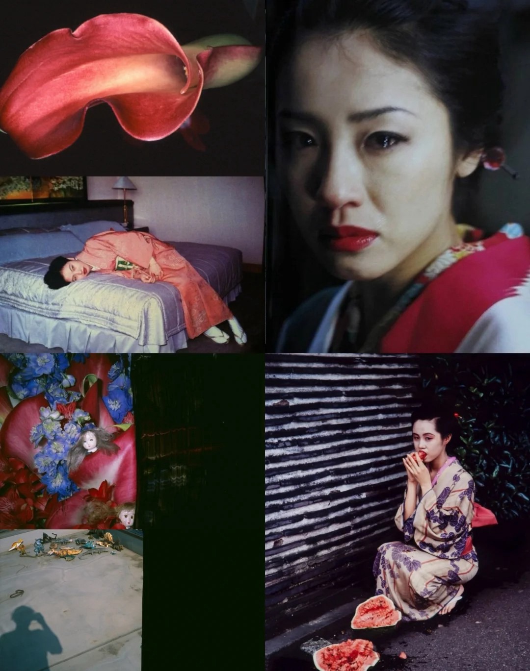 日本日系摄影师【荒木经惟】预设合集Nobuyoshi Araki荒诞怪诞风纪实人文摄影LR预设PS调色PR剪映滤镜LUT预设 , 第3张