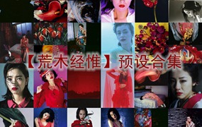 日本日系摄影师【荒木经惟】预设合集Nobuyoshi Araki荒诞怪诞风纪实人文摄影LR预设PS调色PR剪映滤镜LUT预设