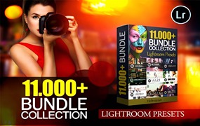 LR预设-11000+高级人像修图LR预设合集合集11000+Advanced Lightroom Presets