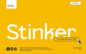 优雅复古杂志海报徽标设计无衬线英文字体安装包 Stinker Modern Sans Display Font