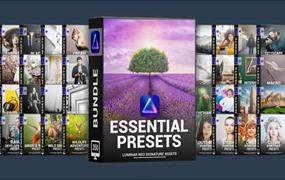 Luminar预设- 40套400大神级珍藏版Luminar NEO基础预设包 Essential Preset Bundle