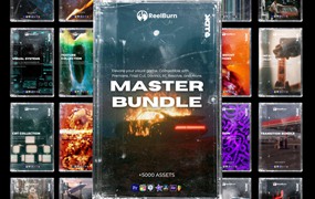 REELBURN – MASTER BUNDLE 真实胶片模拟胶片颗粒叠加纹理棱镜打孔漏光撕纸转场捆绑包