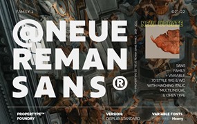 现代时尚几何风视觉海报标题LOGO设计PSAI无衬线英文字体安装包 Neue Reman Sans