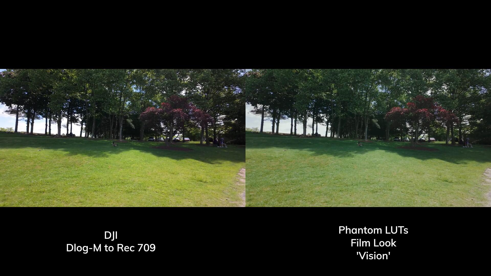 Phantom LUTs for Osmo Pocket 3 大疆Osmo Pocket 3转阿莱色彩LUTs调色预设 , 第8张