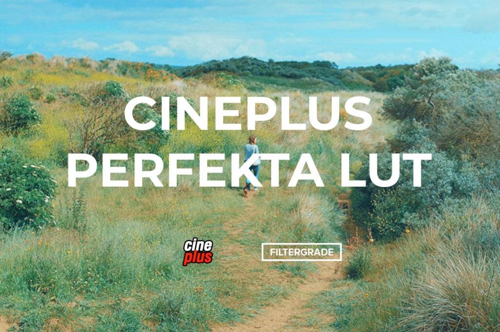 电影质感婚礼摄影视频灰片还原调色LUT预设 Cineplus – Perfekta LUT 插件预设 第1张