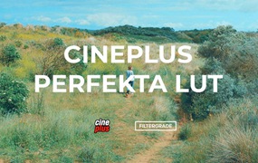 电影质感婚礼摄影视频灰片还原调色LUT预设 Cineplus – Perfekta LUT