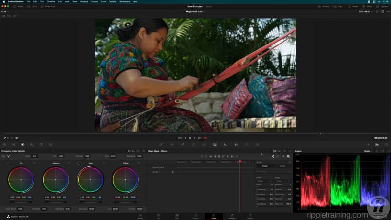 达芬奇17/18零基础入门到精通教程高级调色课程 RippleTraining - Advanced Color Grading in DaVinci Resolve , 第2张